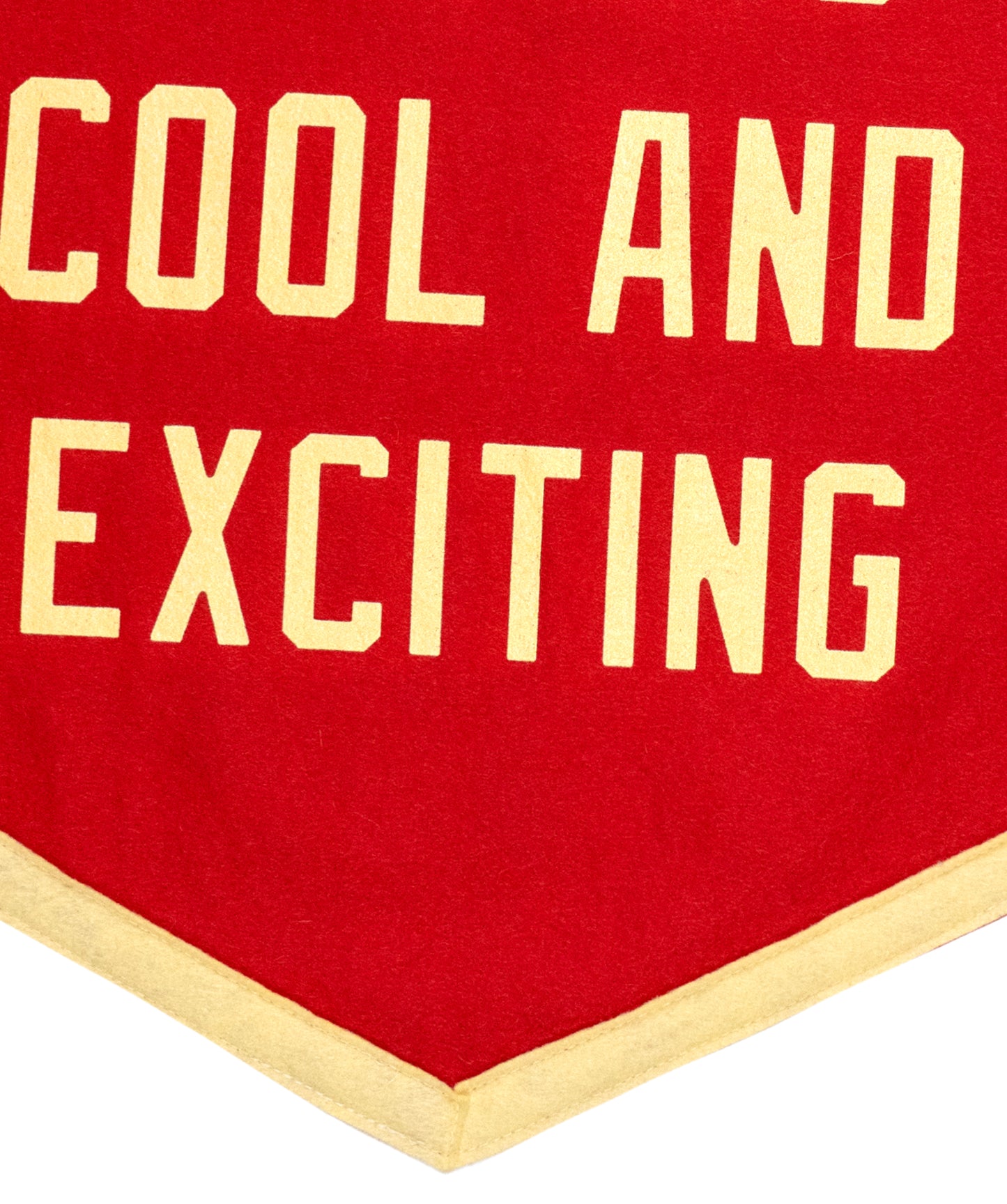 It's All So Cool And Exciting Camp Flag • Sylvan Esso x Oxford Pennant