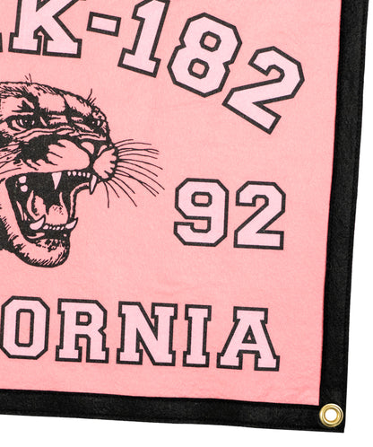 PRESALE: blink-182 California 1992 Camp Flag • blink-182 x Oxford Pennant