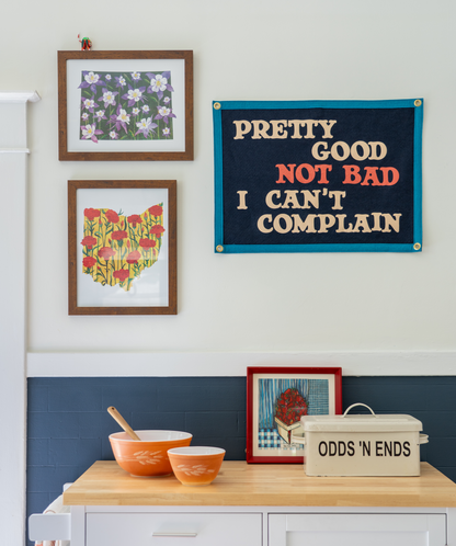 Pretty Good Not Bad I Can't Complain Camp Flag • John Prine x Oxford Pennant