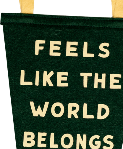 Feels Like The World Belongs To You & Me Fishtail Pennant • Turnpike Troubadours x Oxford Pennant