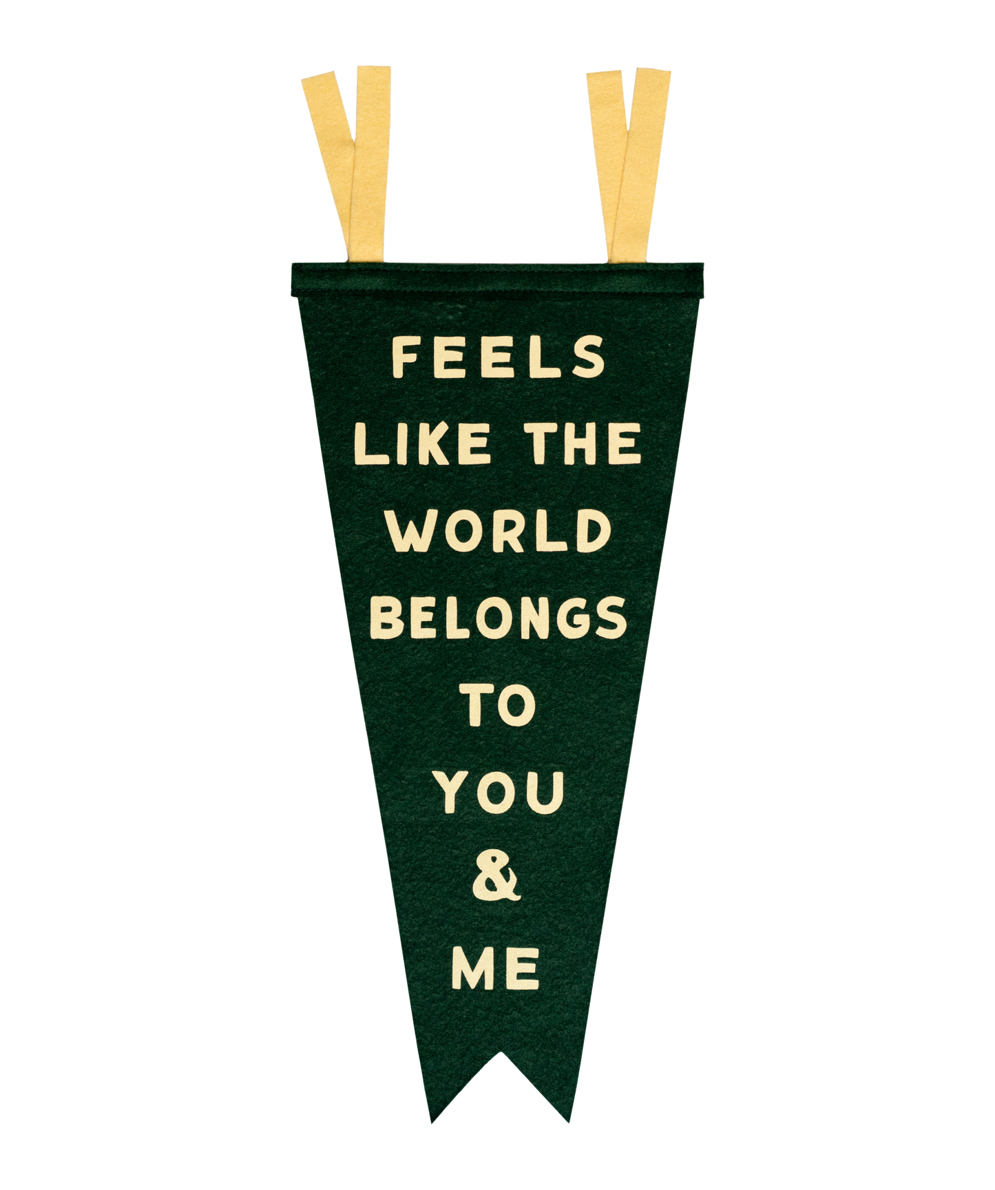 Feels Like The World Belongs To You & Me Fishtail Pennant • Turnpike Troubadours x Oxford Pennant