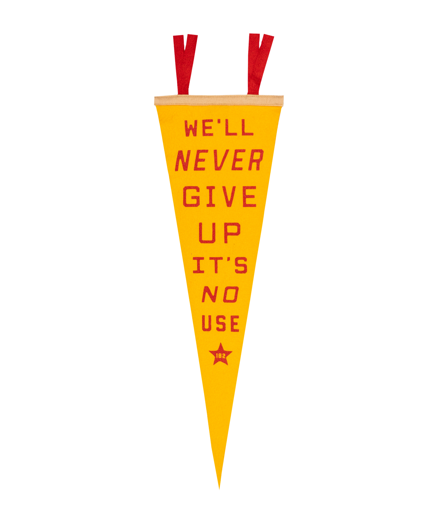 We'll Never Give Up, It's No Use Pennant • blink-182 x Oxford Pennant
