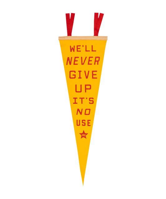 We'll Never Give Up, It's No Use Pennant • blink-182 x Oxford Pennant