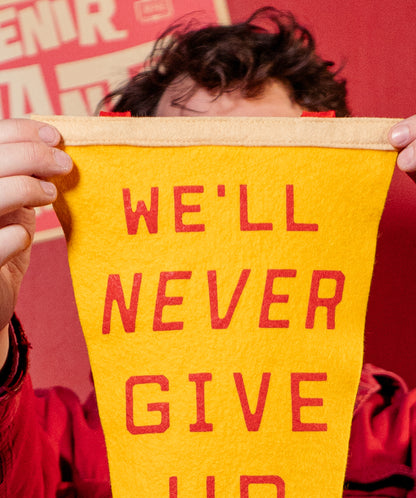 We'll Never Give Up, It's No Use Pennant • blink-182 x Oxford Pennant