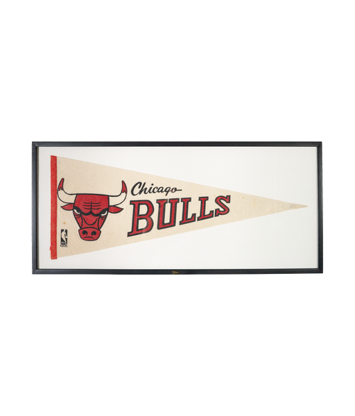 Vintage Chicago Bulls Framed Pennant