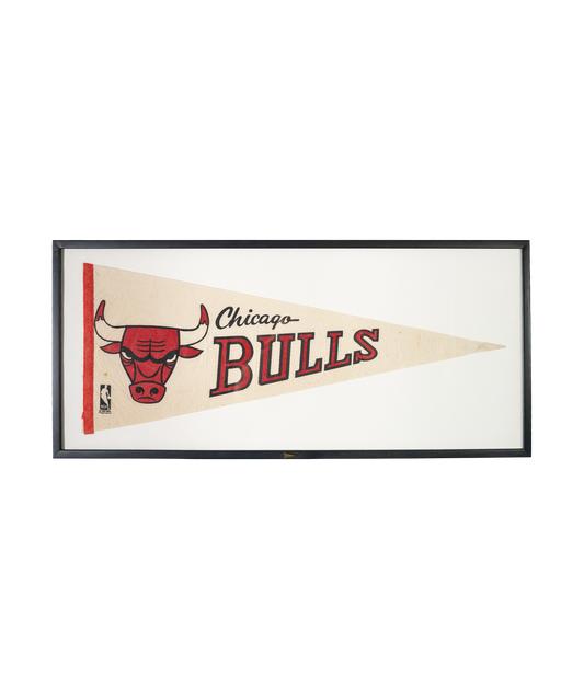 Vintage Chicago Bulls Framed Pennant