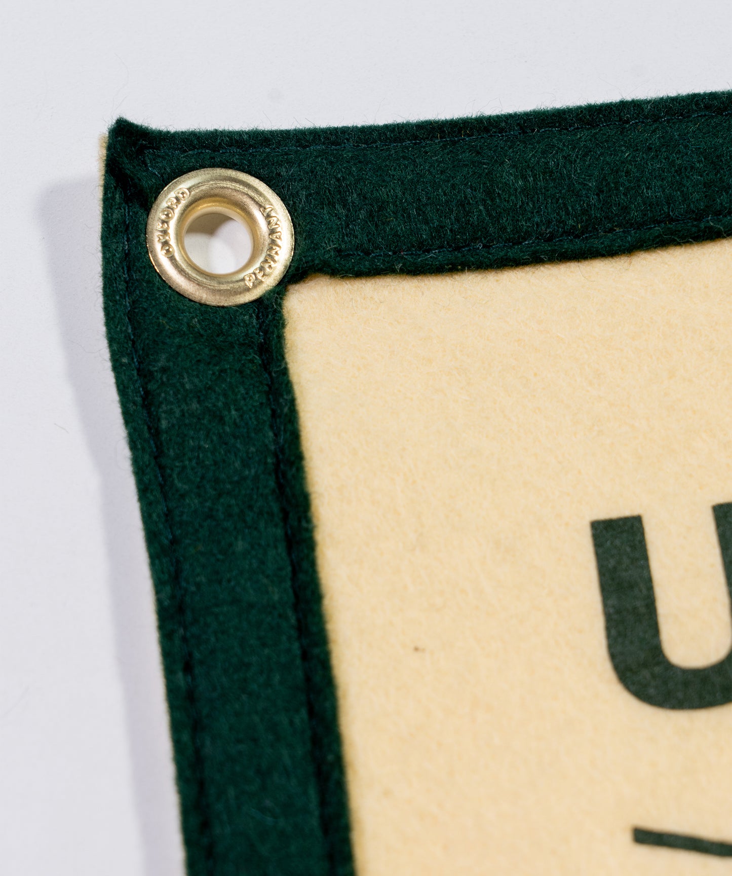 National Parks Camp Flag • Steve Wolf x Oxford Pennant