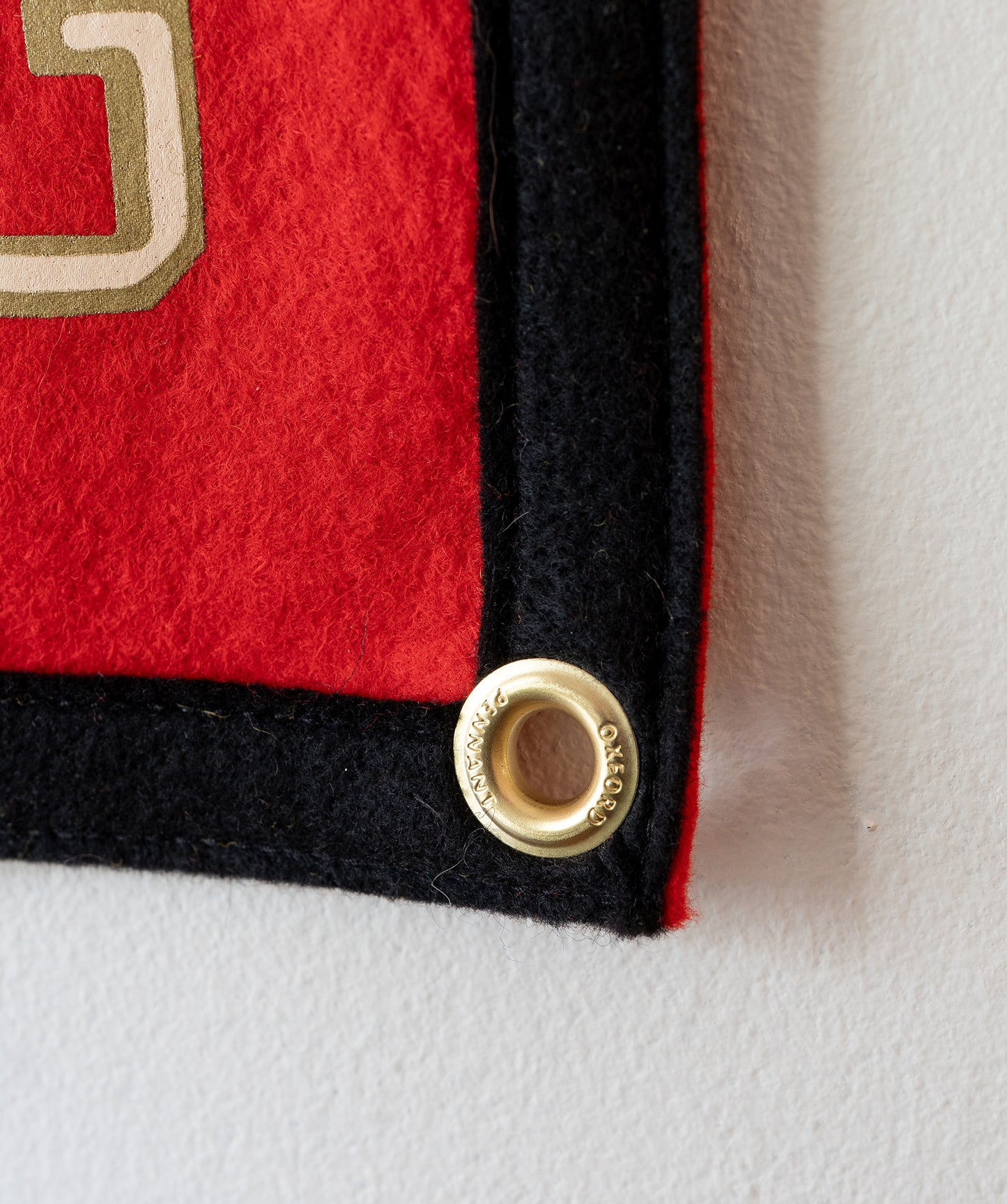 We're Not Living In That Old Time Feeling Camp Flag • S.G. Goodman x Oxford Pennant