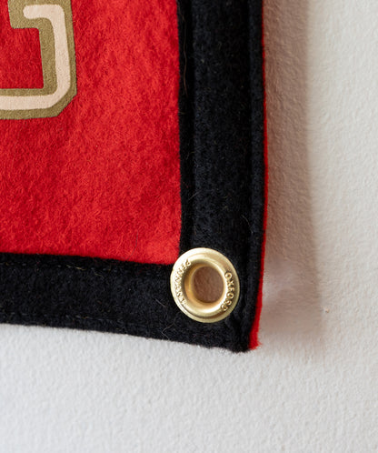We're Not Living In That Old Time Feeling Camp Flag • S.G. Goodman x Oxford Pennant