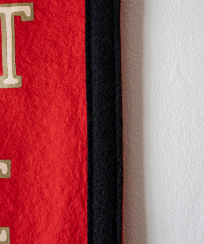 We're Not Living In That Old Time Feeling Camp Flag • S.G. Goodman x Oxford Pennant