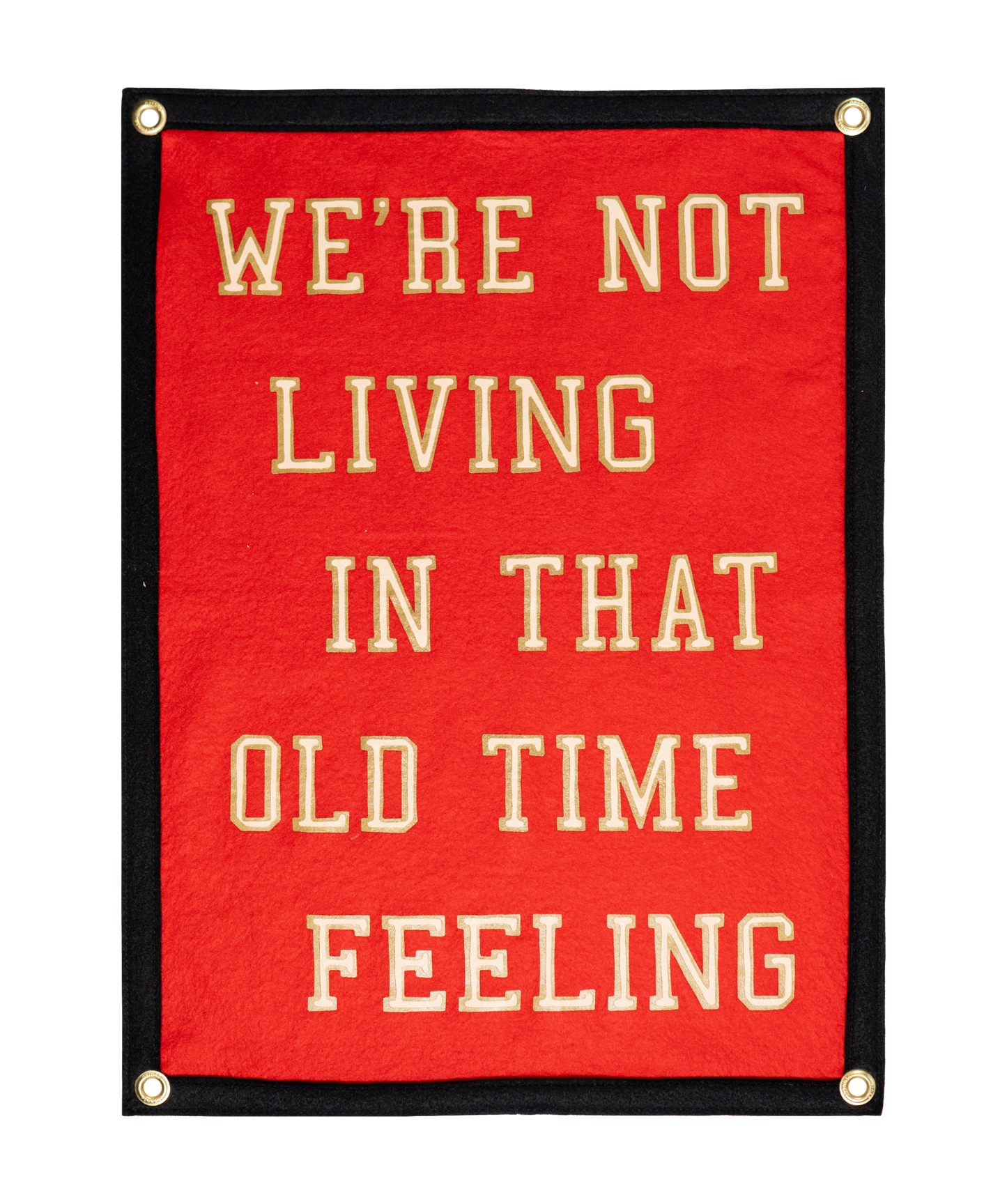 We're Not Living In That Old Time Feeling Camp Flag • S.G. Goodman x Oxford Pennant