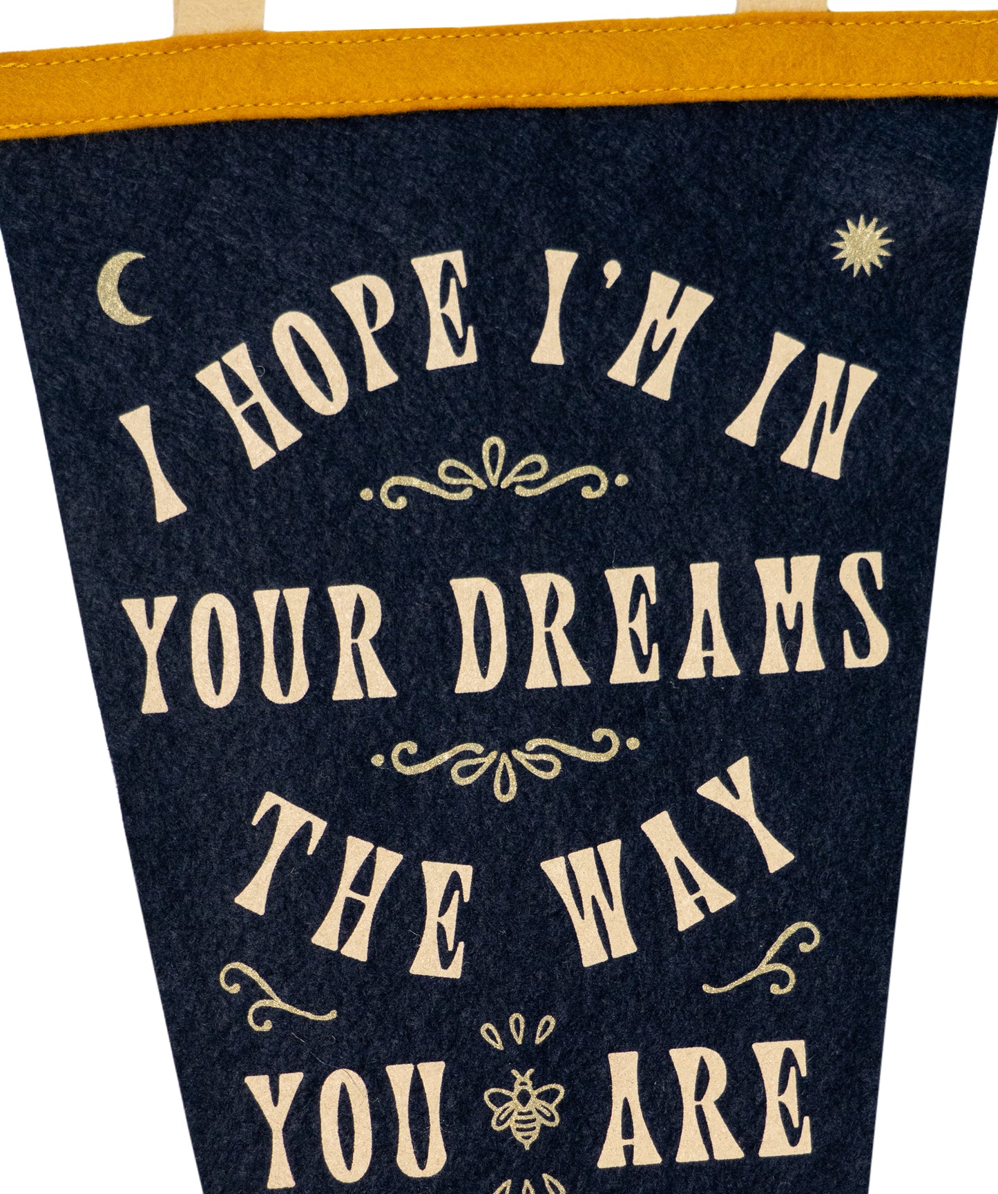 In Dreams Fishtail Pennant • Sierra Ferrell x Oxford Pennant