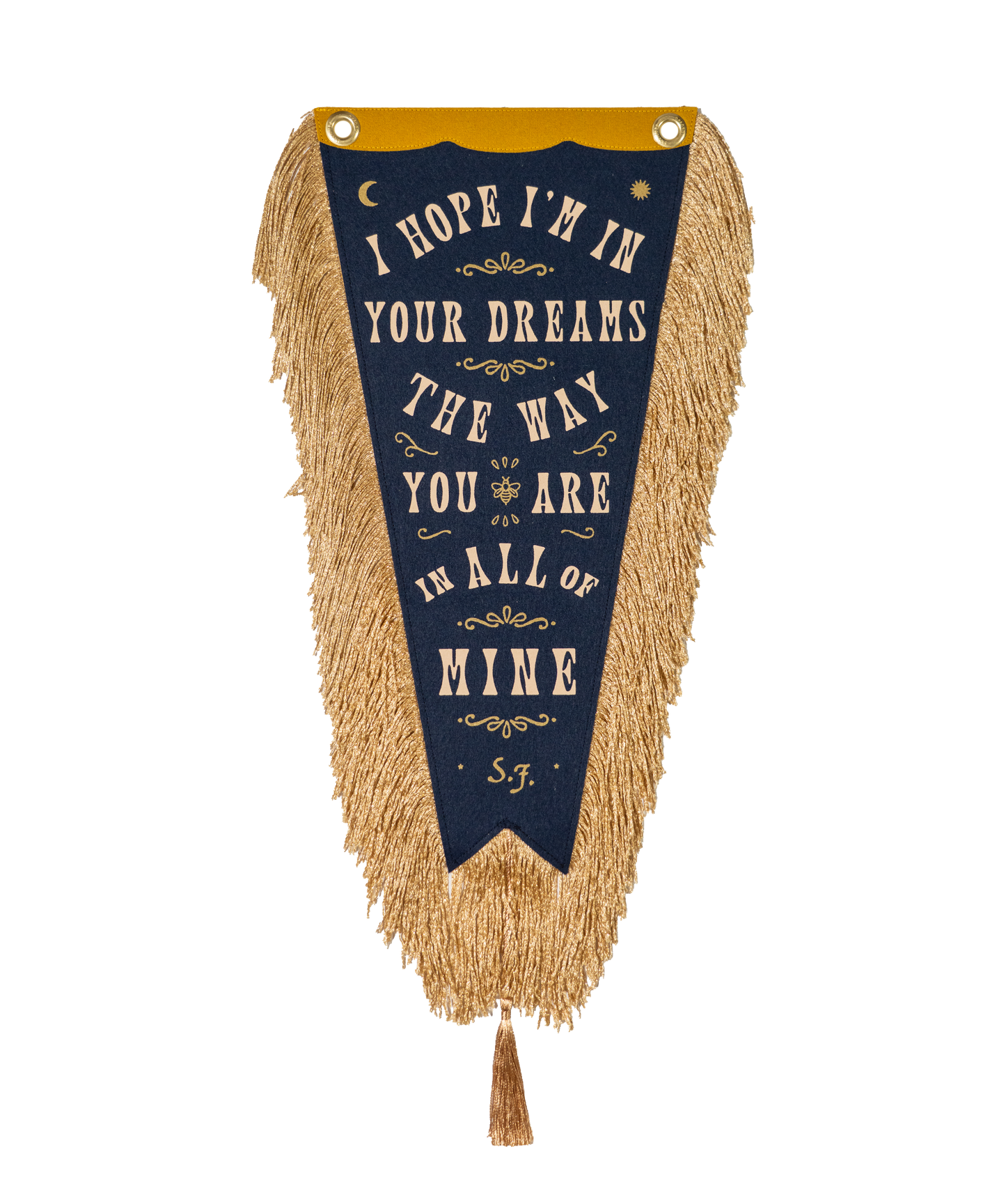 Limited Edition: In Dreams Fishtail Pennant • Sierra Ferrell x Oxford Pennant