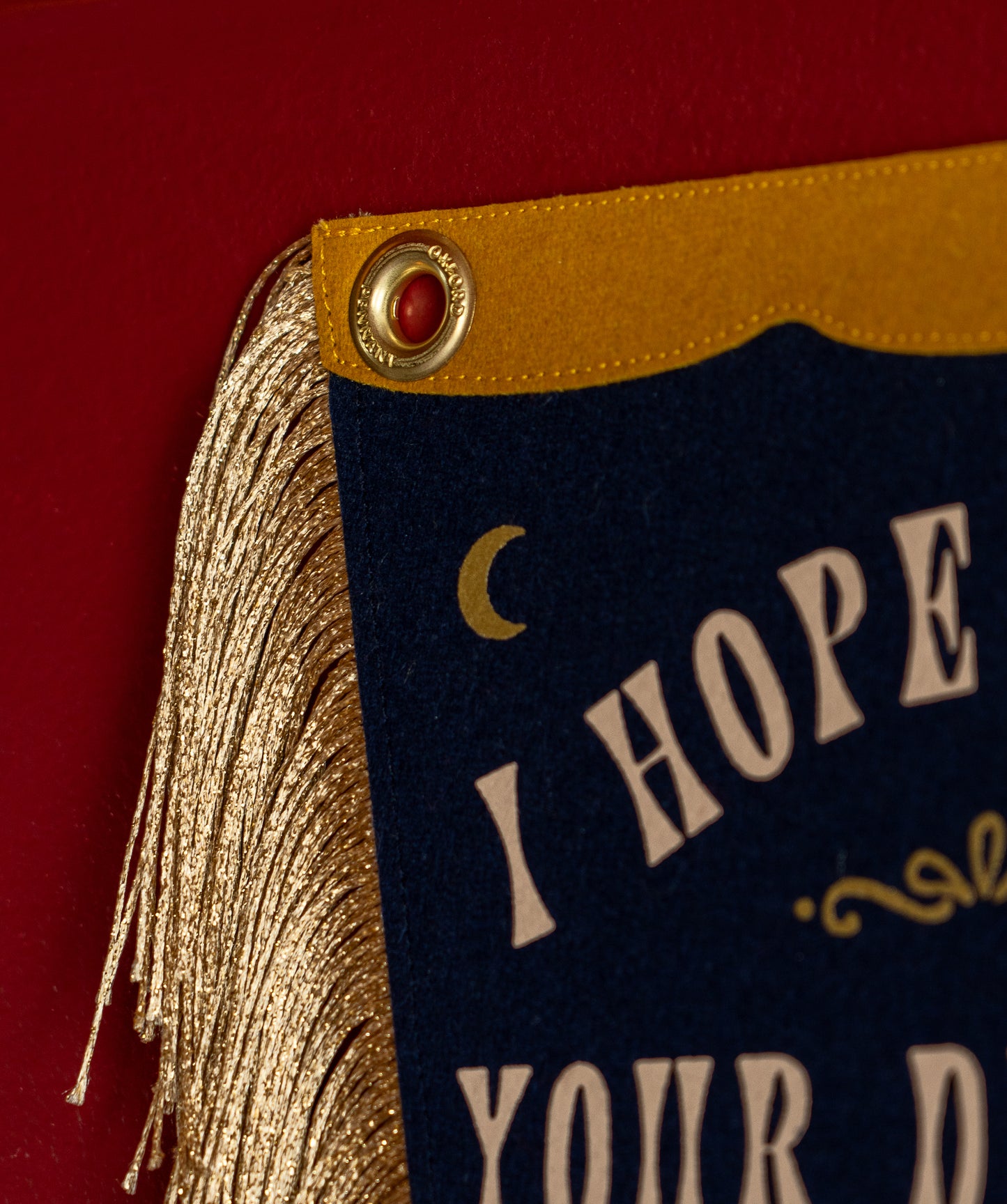 Limited Edition: In Dreams Fishtail Pennant • Sierra Ferrell x Oxford Pennant