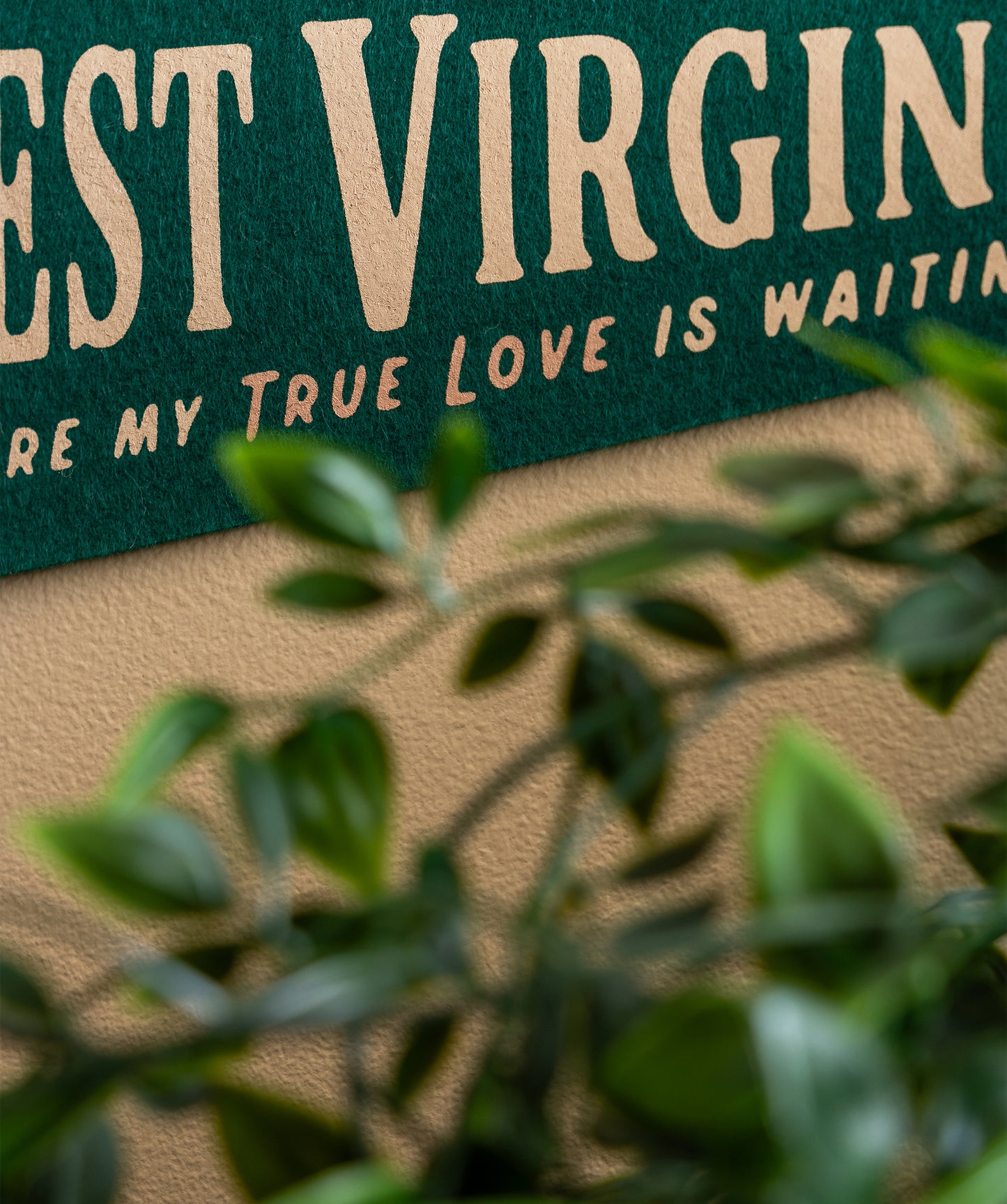 Take Me Back To West Virginia Where My True Love Is Waitin' Pennant  • Sierra Ferrell x Oxford Pennant