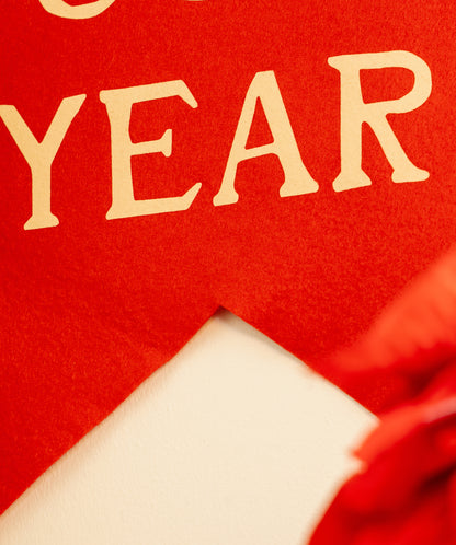This Will Be Our Year Scout Flag