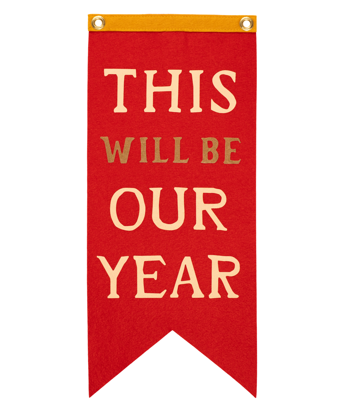 This Will Be Our Year Scout Flag