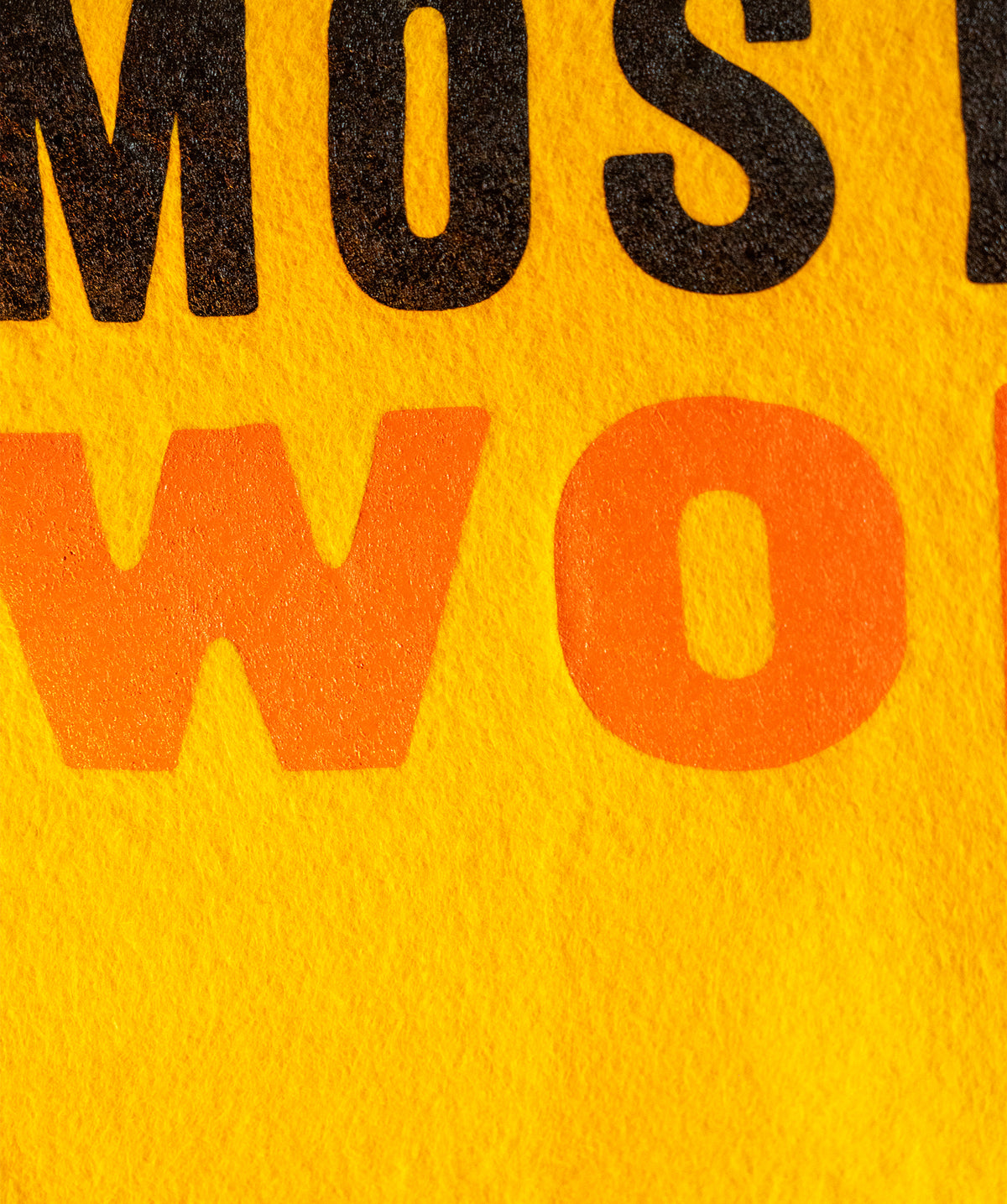 Most Things I Worry About Camp Flag • Tom Petty x Oxford Pennant