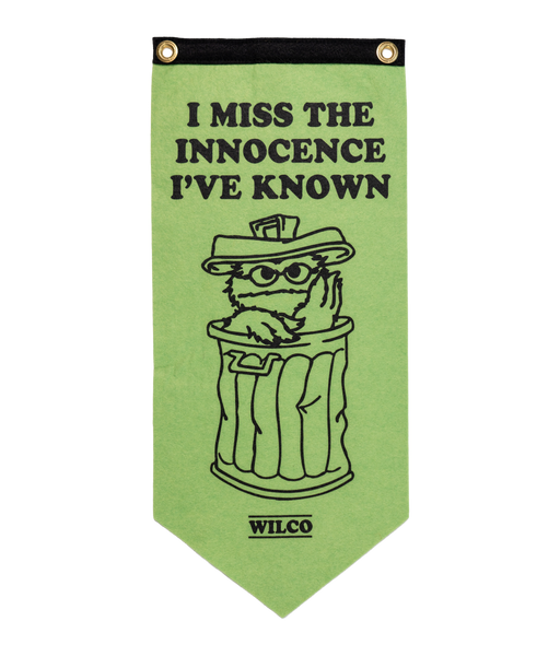 PRESALE: I Miss The Innocence I've Known Scout Flag • Wilco x Sesame Street x Oxford Pennant