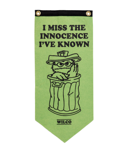 I Miss The Innocence I've Known Scout Flag • Wilco x Sesame Street x Oxford Pennant