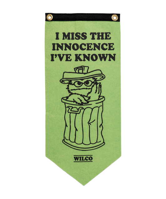 PRESALE: I Miss The Innocence I've Known Scout Flag • Wilco x Sesame Street x Oxford Pennant
