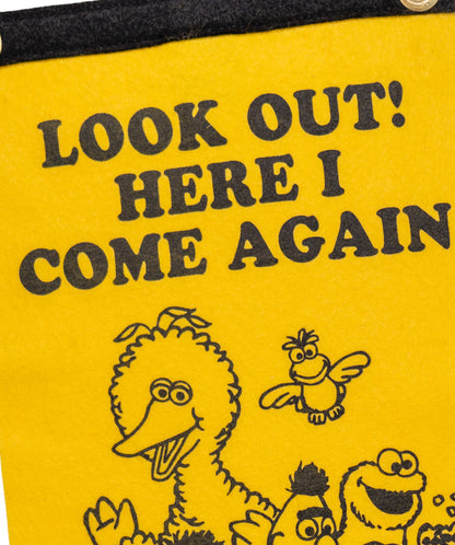 Look Out! Here I Come Again Scout Flag  • Wilco x Sesame Street x Oxford Pennant