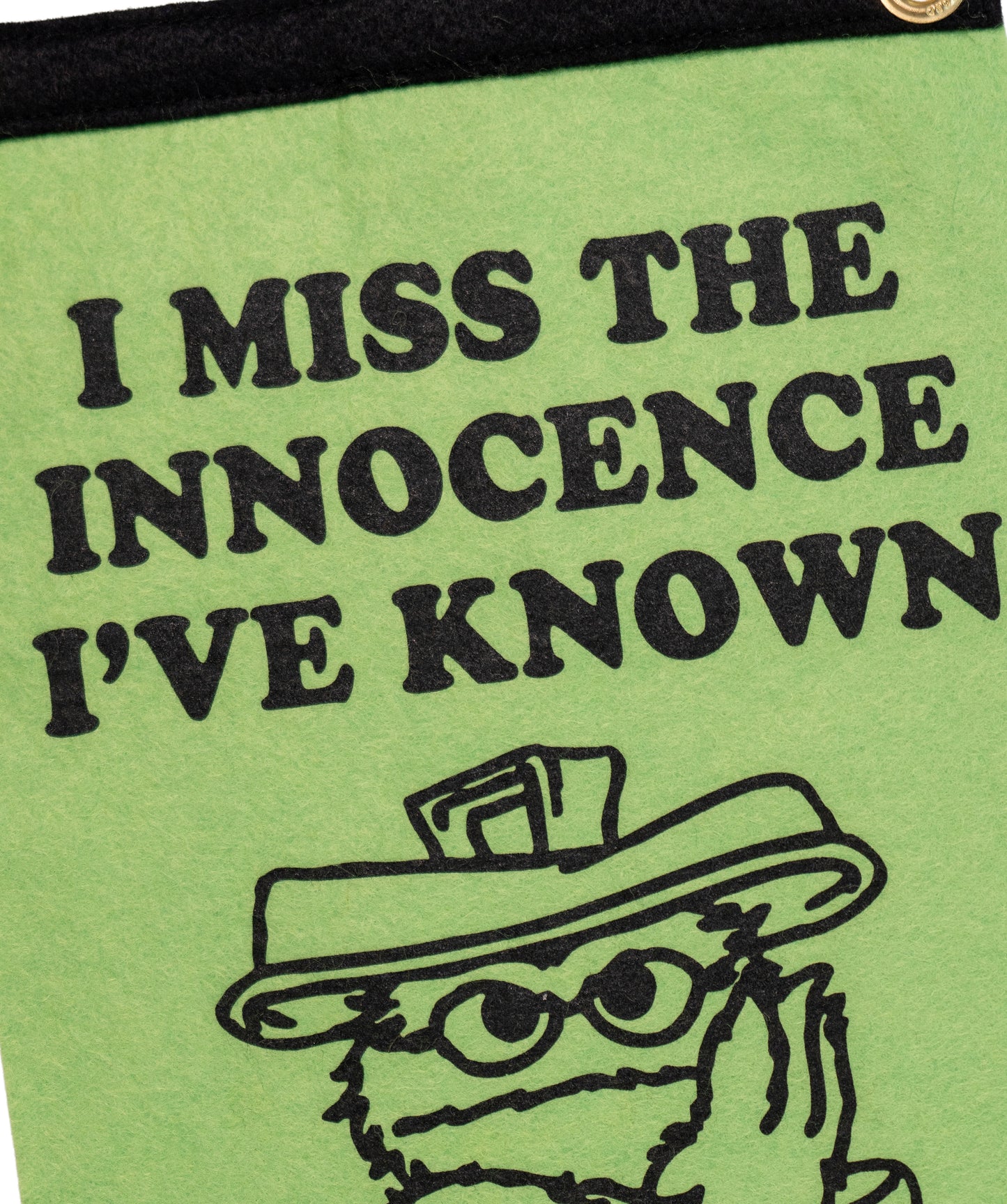 I Miss The Innocence I've Known Scout Flag • Wilco x Sesame Street x Oxford Pennant