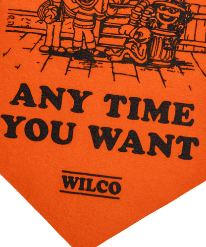 You Can Come By Any Time You Want Scout Flag  • Wilco x Sesame Street x Oxford Pennant