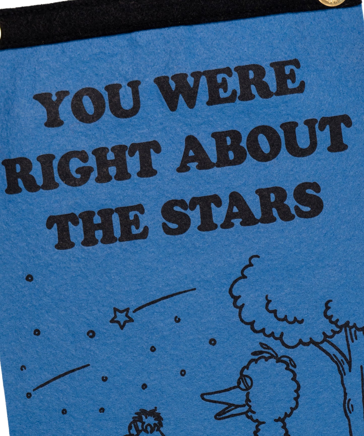 You Were Right About The Stars Scout Flag • Wilco x Sesame Street x Oxford Pennant