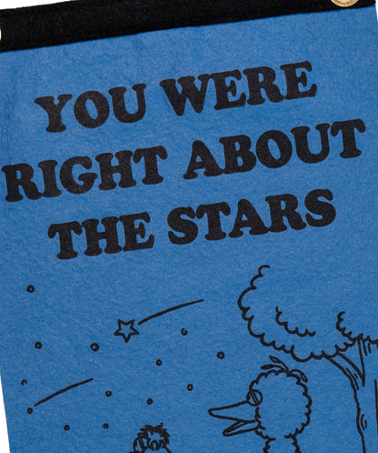 You Were Right About The Stars Scout Flag • Wilco x Sesame Street x Oxford Pennant