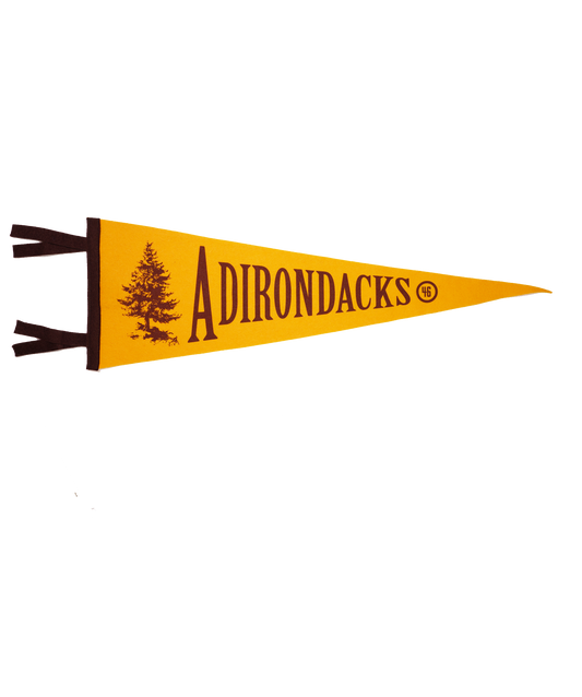 Adirondack Mountains Pennant