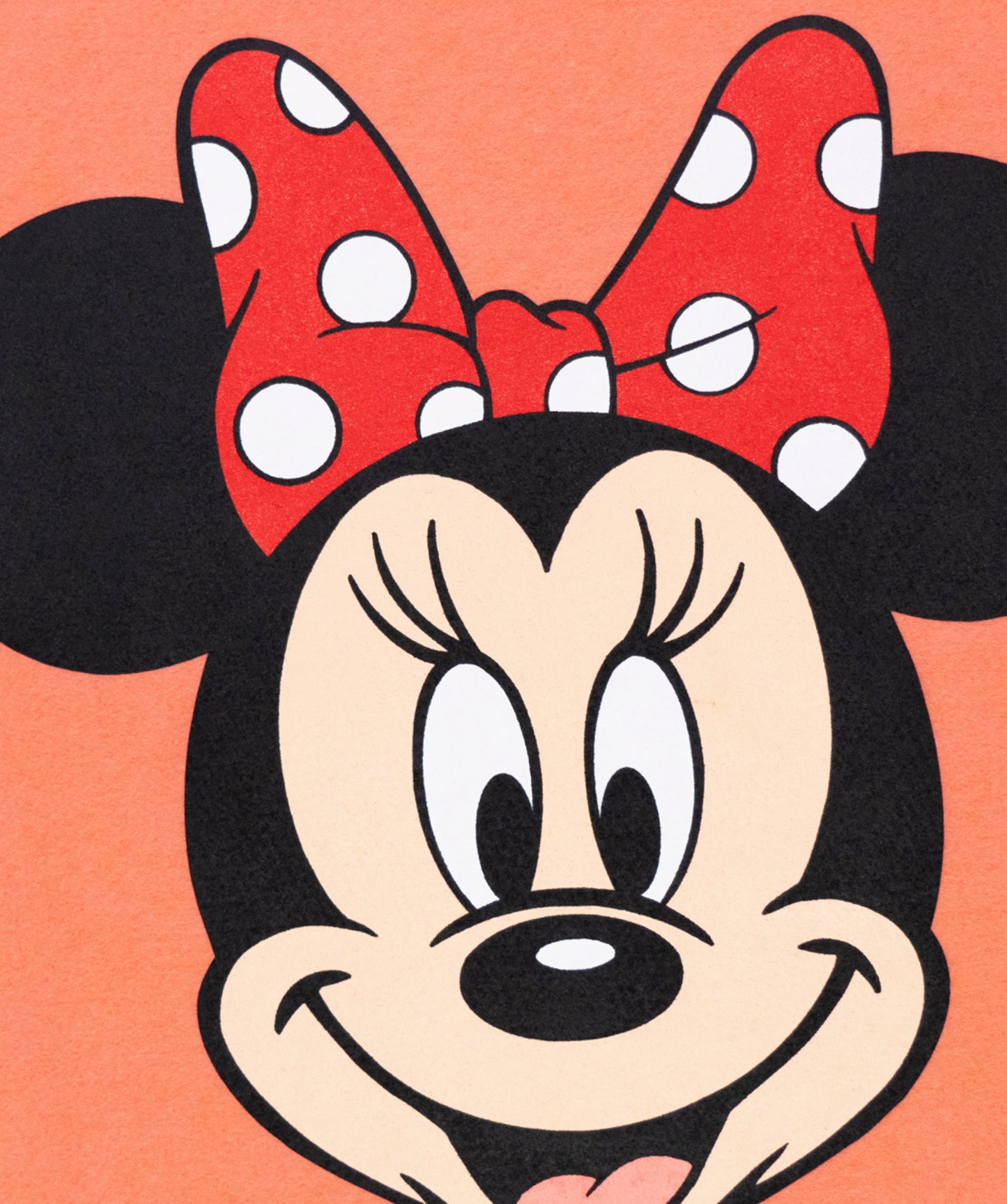 Disney's Minnie Mouse - Camp Flag