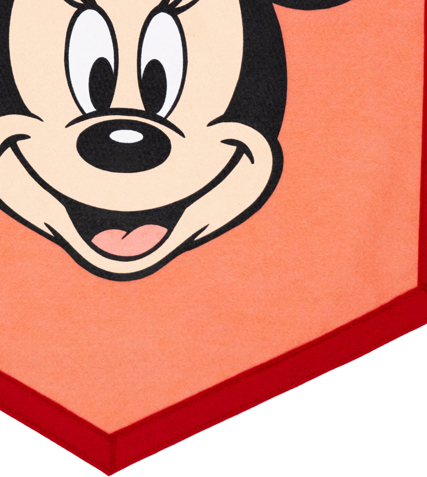 Disney's Minnie Mouse - Camp Flag