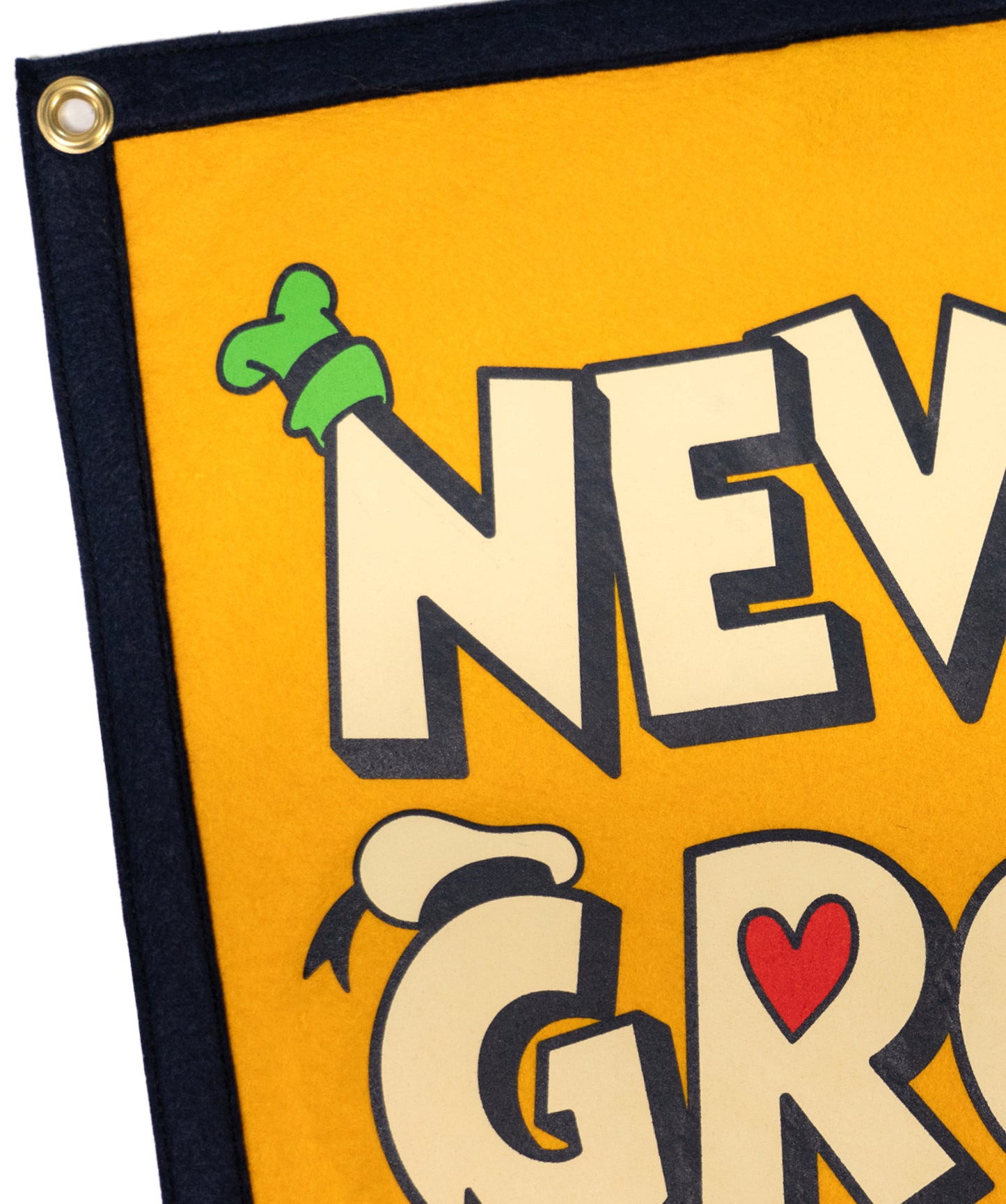 Disney's Never Grow Up - Camp Flag