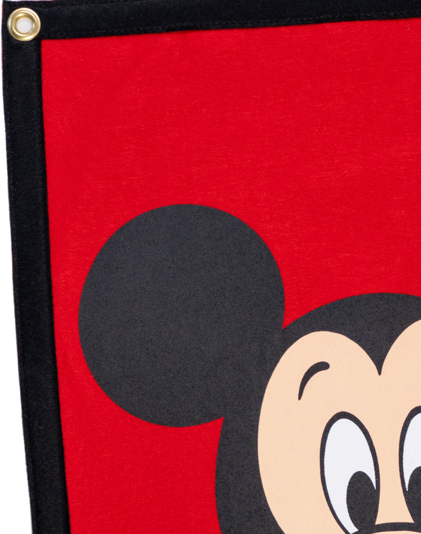 Disney's Mickey Mouse - Camp Flag