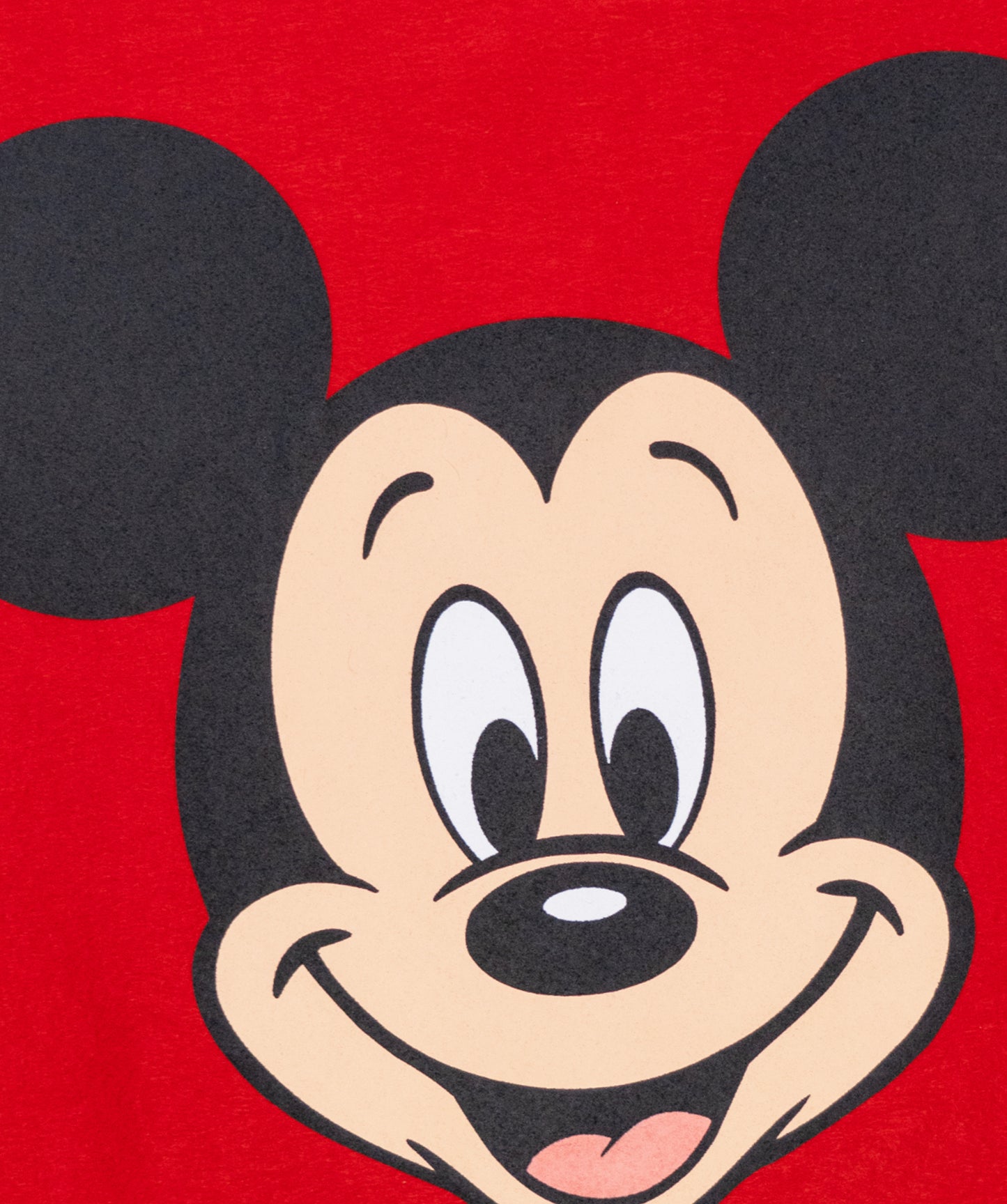 Disney's Mickey Mouse - Camp Flag