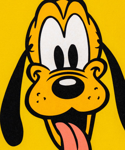 Disney's Pluto - Camp Flag