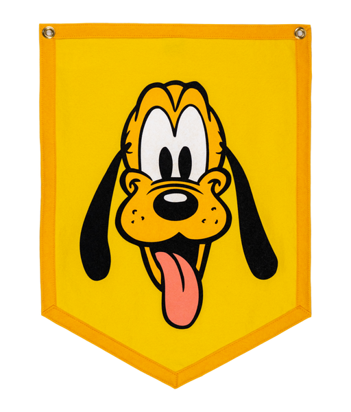 Pluto Disney Camp Flag