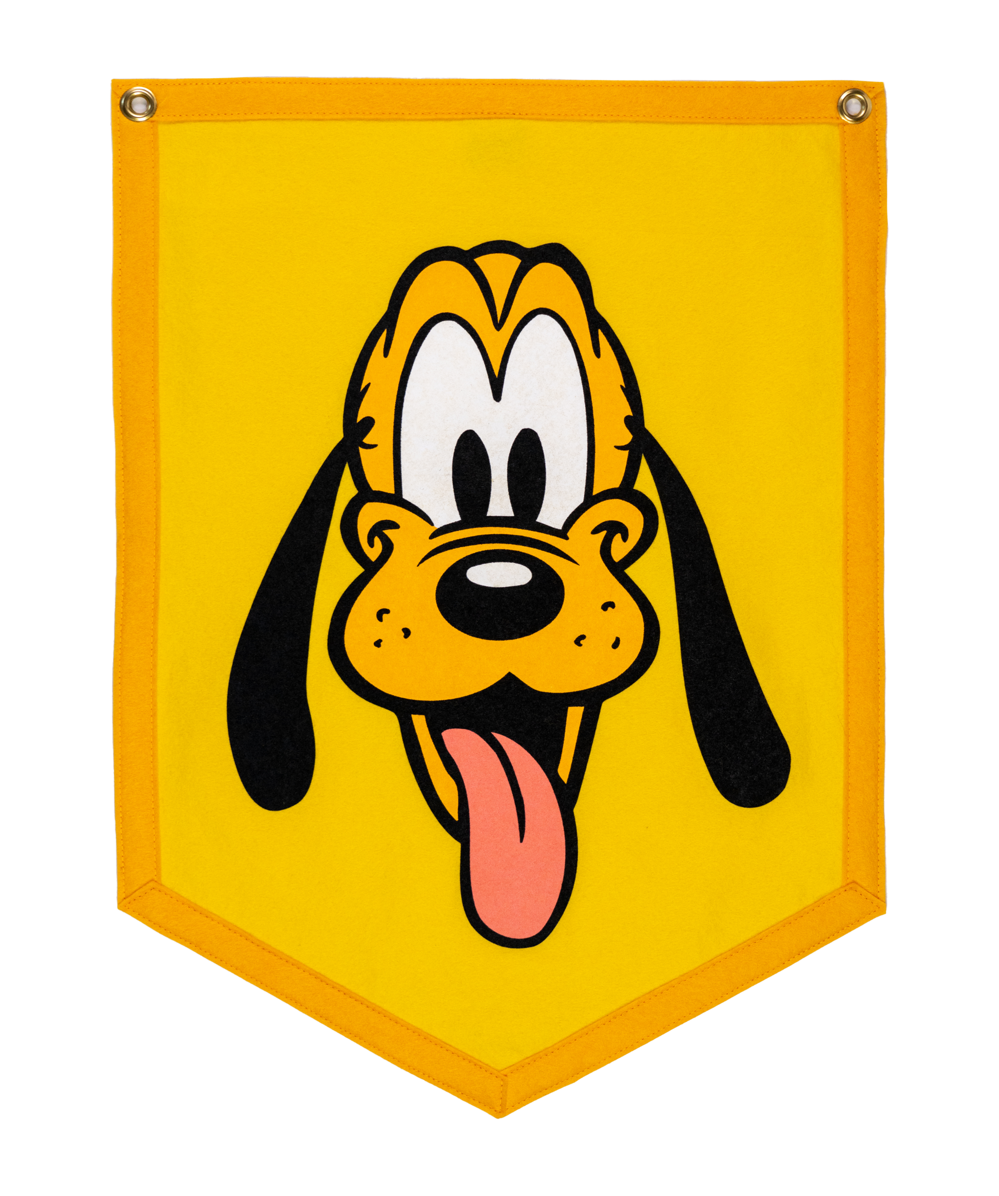 Pluto Disney Camp Flag