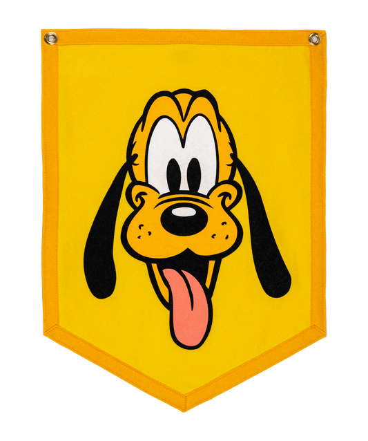 Pluto Disney Camp Flag