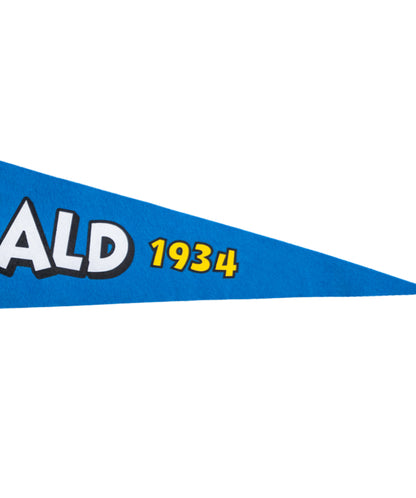 Disney's Donald Duck - Pennant