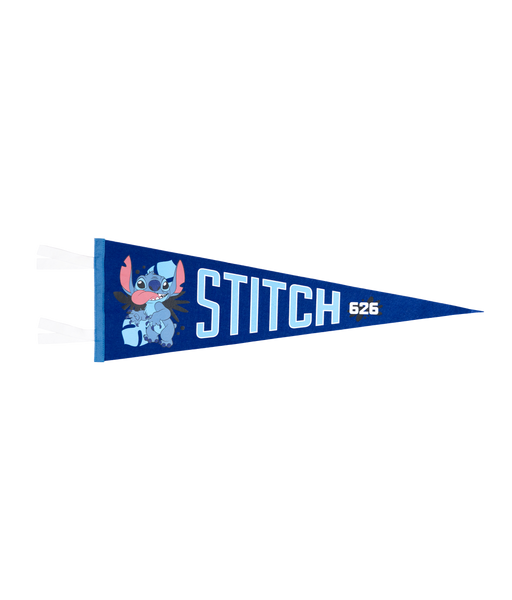 Stitch Project 626 - Pennant