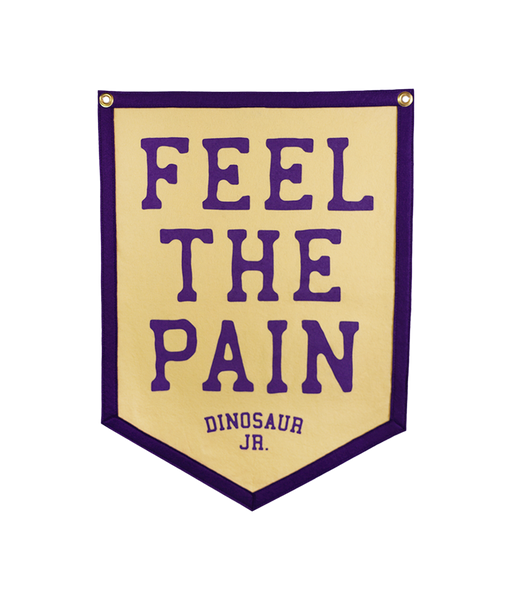 PRESALE: Feel the Pain Camp Flag • Dinosaur Jr. x Oxford Pennant