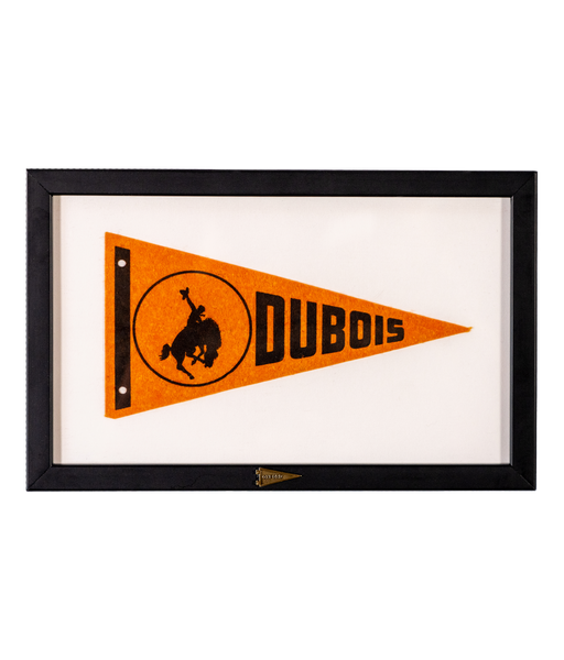 Vintage Dubois Framed Pennant