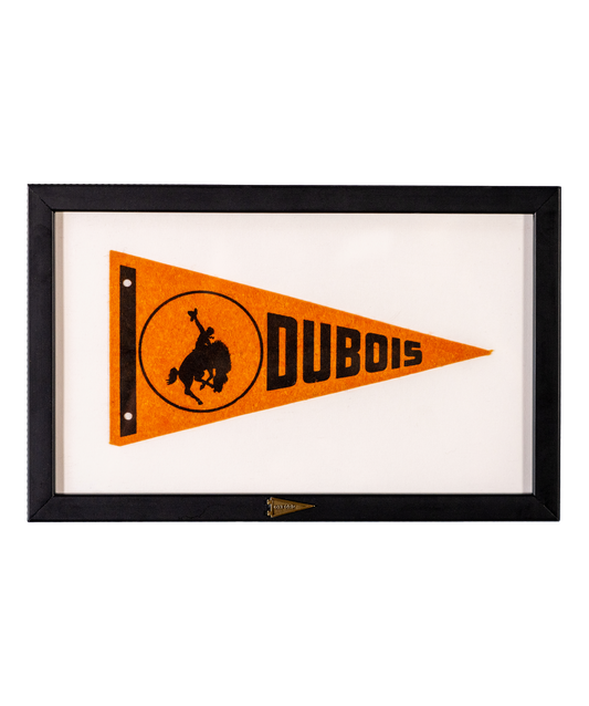Vintage Dubois Framed Pennant