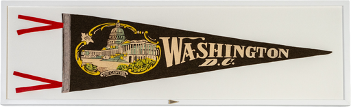 Vintage Washington D.C. Pennant