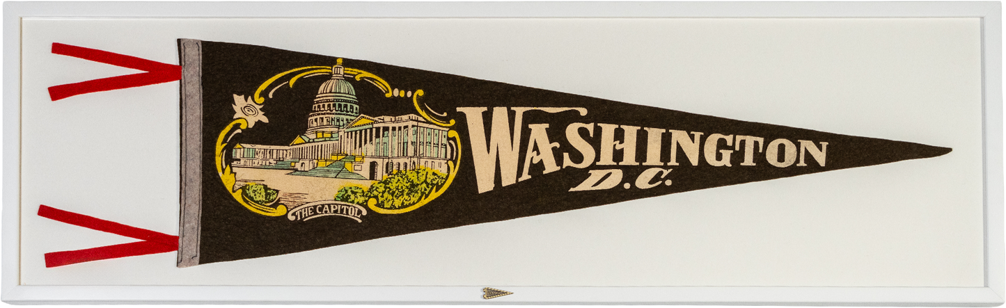 Vintage Washington D.C. Pennant
