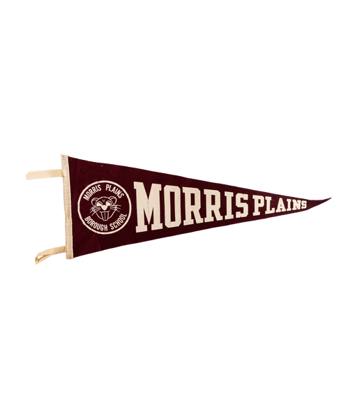 Vintage Pennant- Morris Plains Borough School