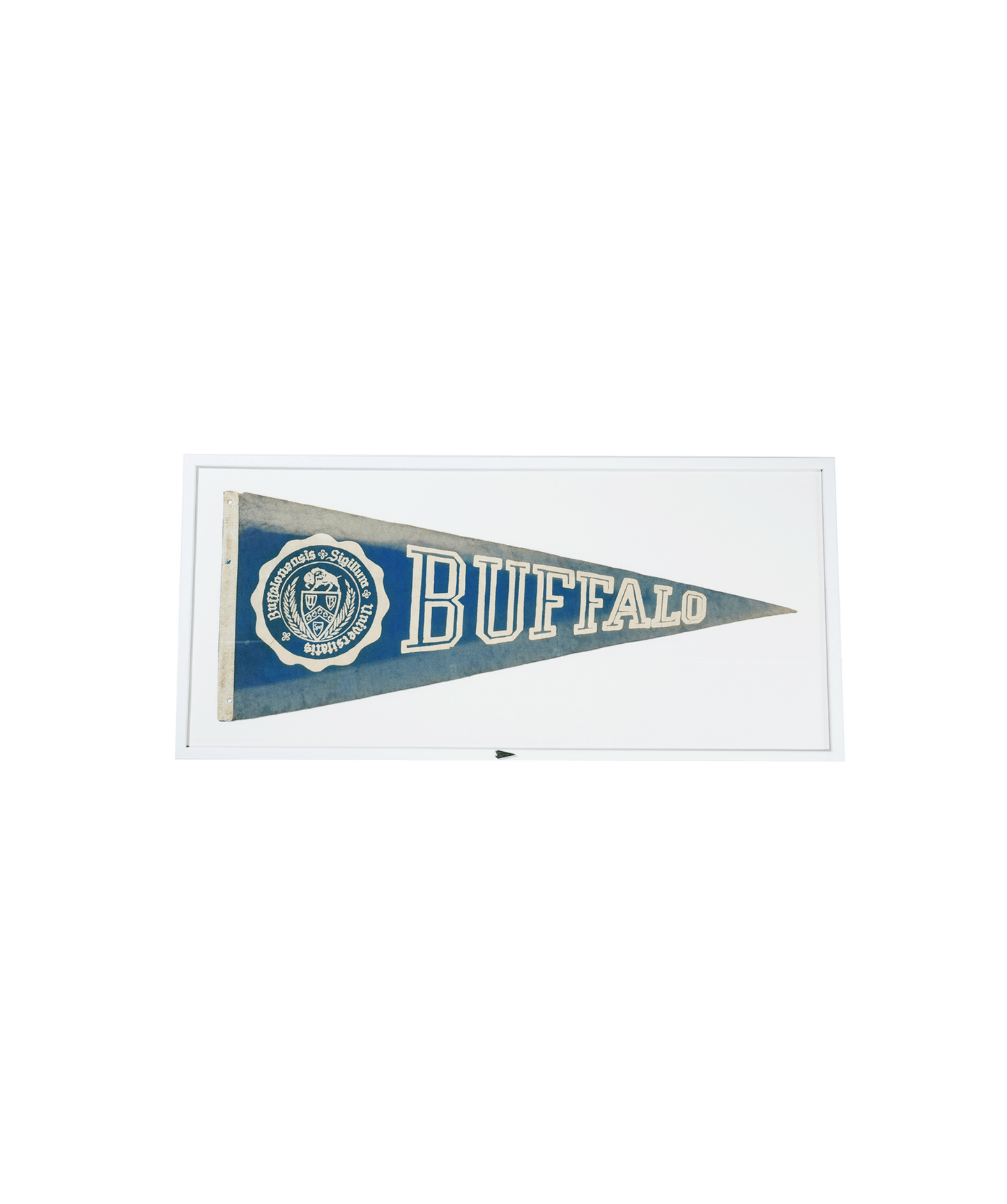 Vintage University of Buffalo- Framed