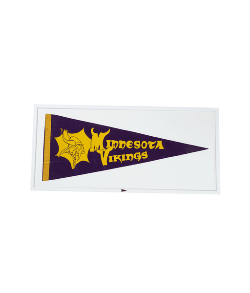 Vintage Minnesota Vikings- Framed